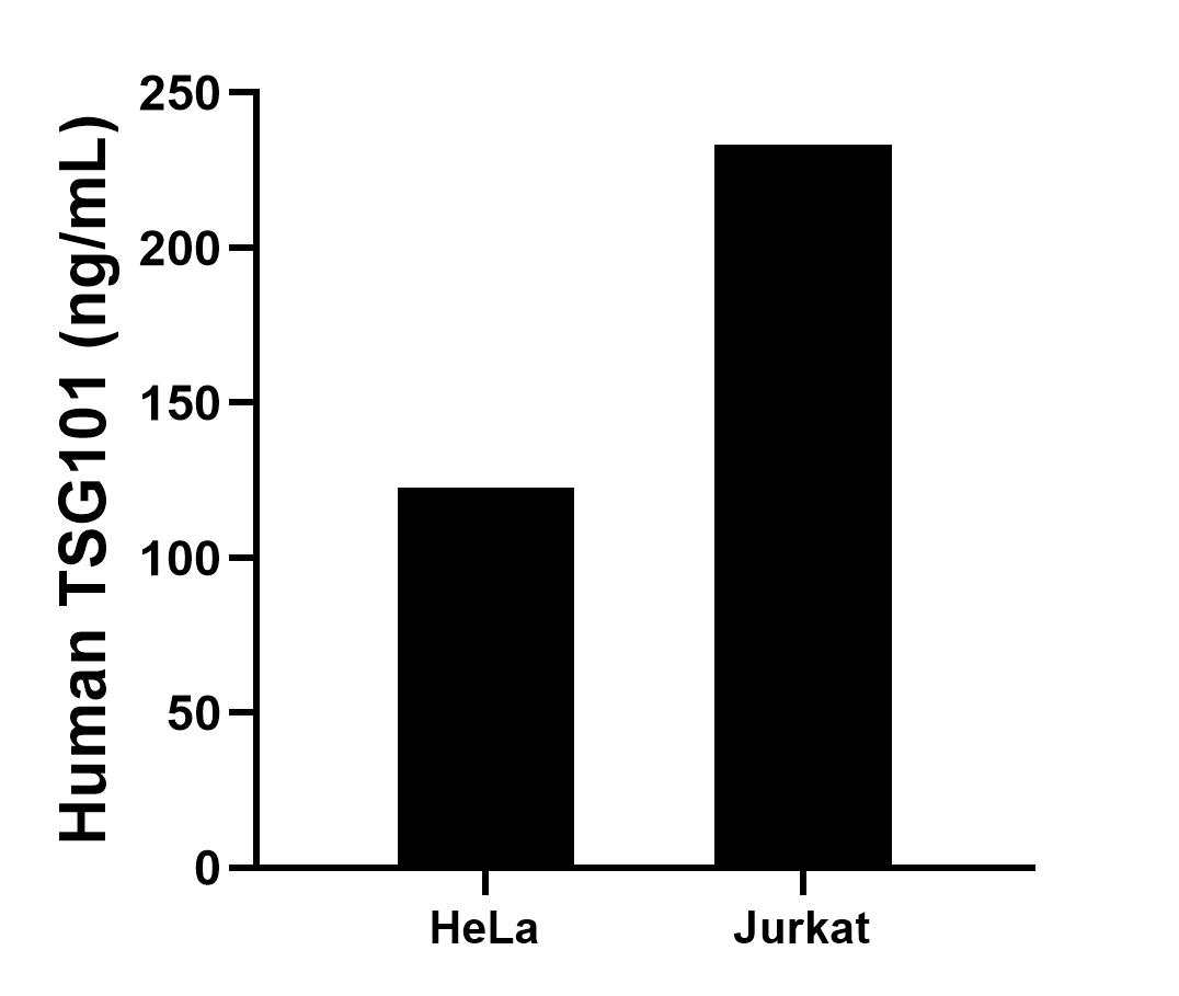 Sample test of MP01221-2